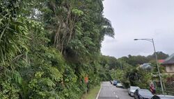 Sembawang Hills Estate (D20), Terrace #545947211